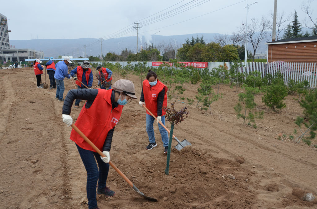 星火機(jī)床公司持續(xù)開(kāi)展綠化工作